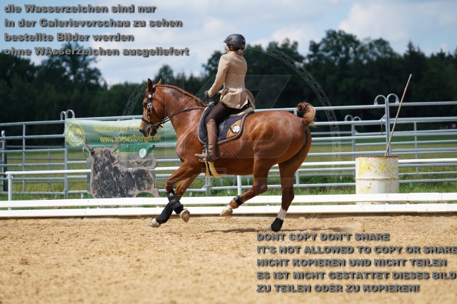 s_K3F06559.JPG